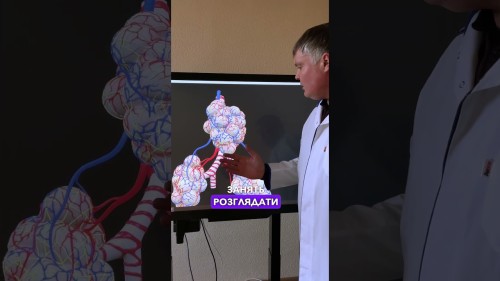 Анатомічний музей кафедри