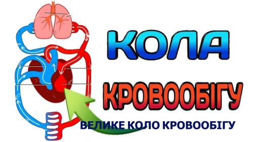 Відіотека.