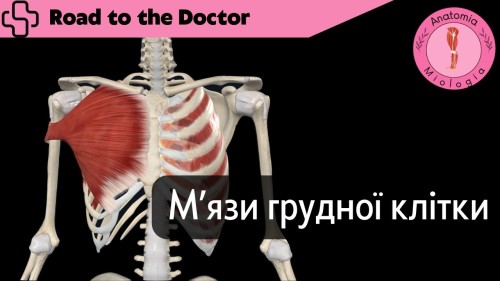 Відіотека.