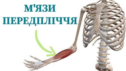 Відіотека.