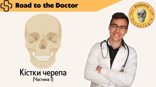 Відіотека.