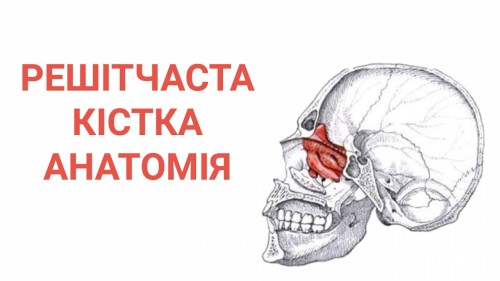 Відіотека.