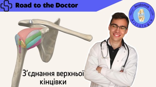Відіотека.