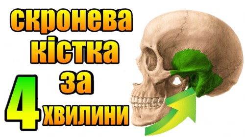 Відіотека.