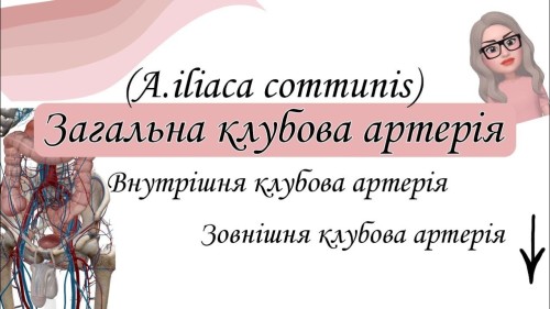 Відіотека.