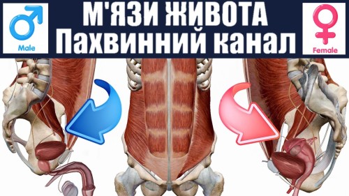 Відіотека.