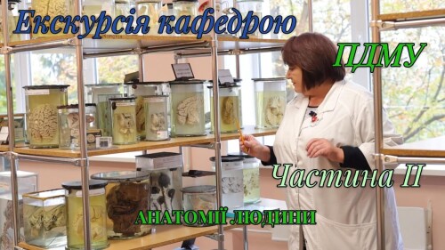 Відеофайли кафедри