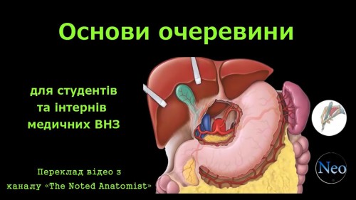 Відіотека.