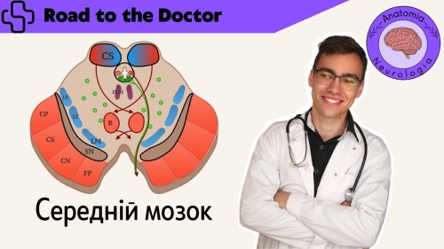 Відіотека.