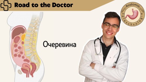 Відіотека.