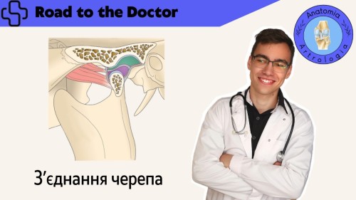 Відіотека.