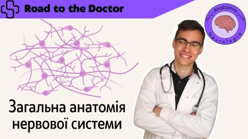 Відіотека.