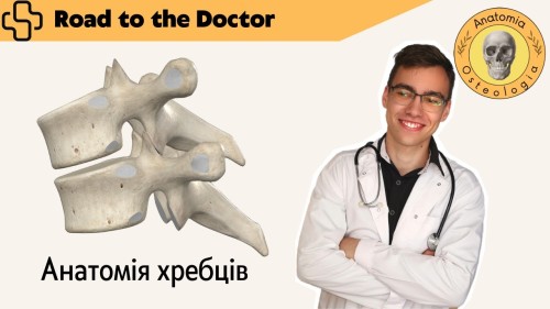 Відіотека.