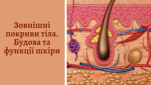 Відіотека.