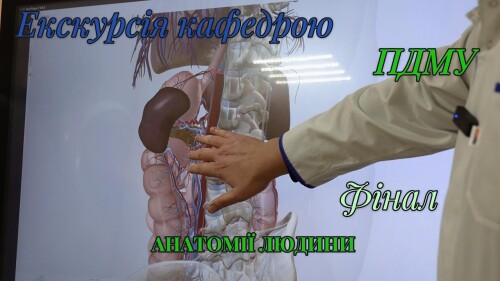 Відеофайли кафедри