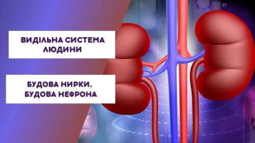Відіотека.