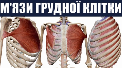 Відіотека.