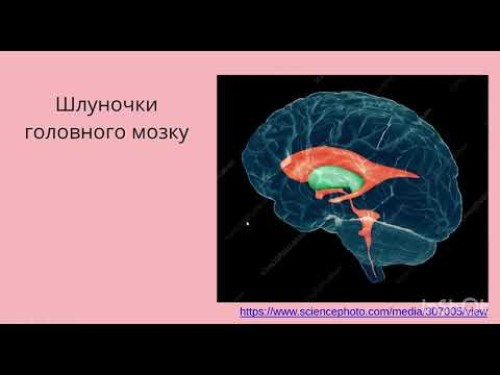 Відіотека.