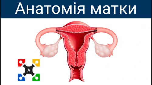 Відіотека.