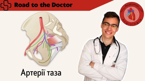 Відіотека.