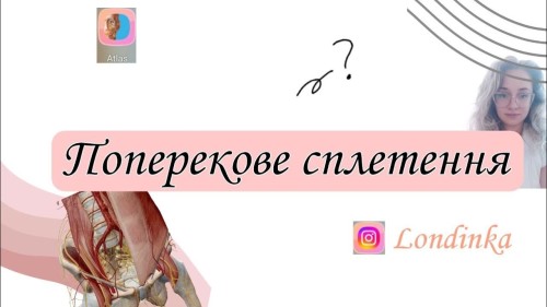 Відіотека.