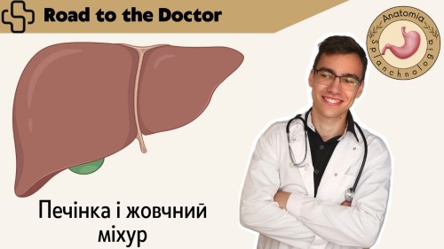 Відіотека.