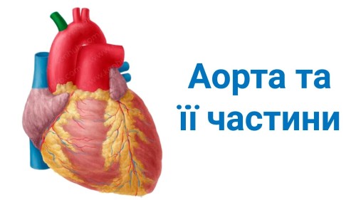 Відіотека.