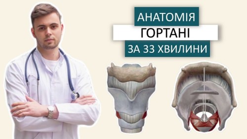 Відіотека.