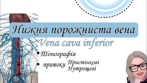 Відіотека.