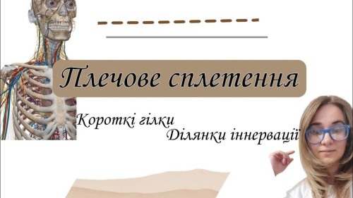 Відіотека.